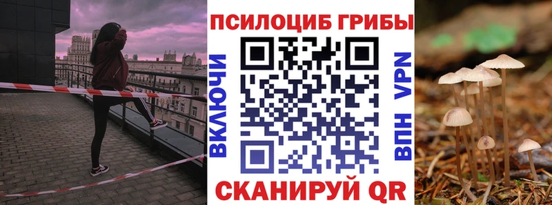Псилоцибиновые грибы GOLDEN TEACHER  shop официальный сайт  Новокубанск 