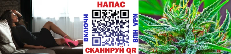 Бошки марихуана VHQ  MEGA сайт  Новокубанск  наркошоп 
